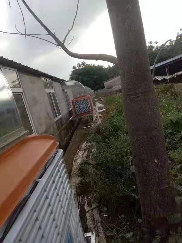 1425633727.jpg