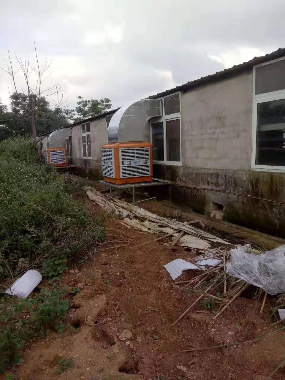 湖北环保空调在养猪场的运用
