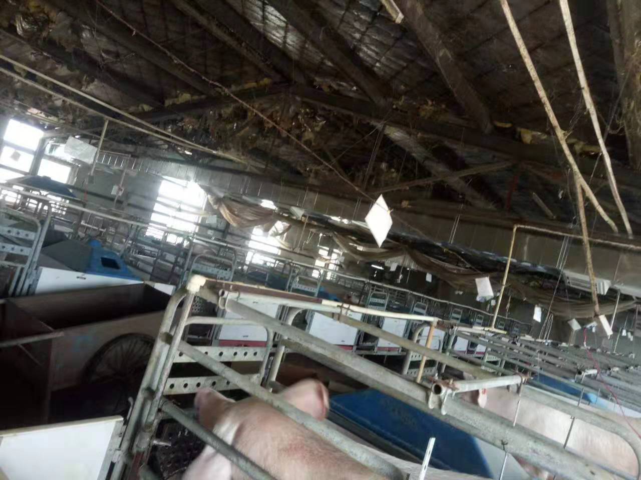 227140792.jpg