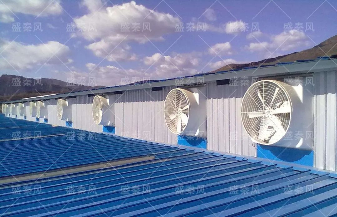 微信图片_20241205163513.png
